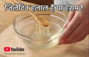 Gelatin Halal or Haram in Islam Hindi 
