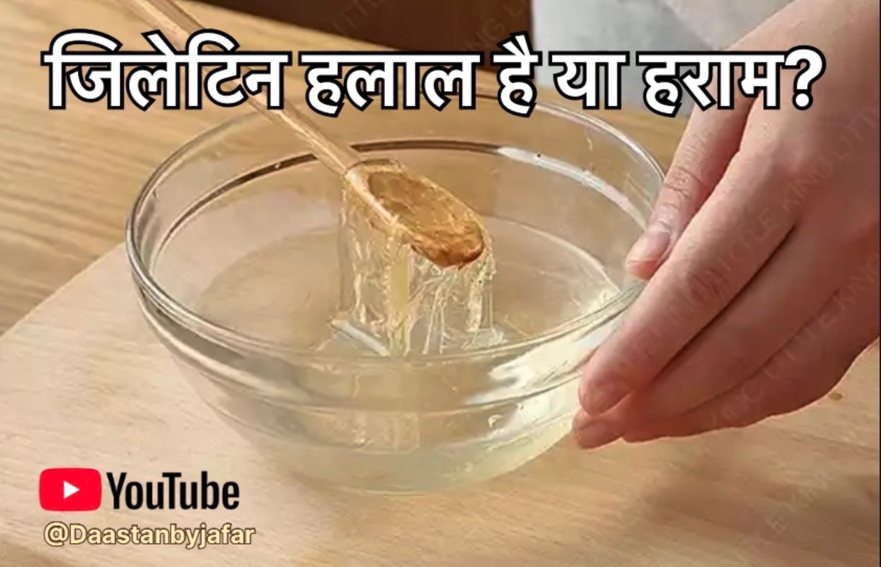 Gelatin Halal or Haram in Islam Hindi