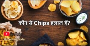 Halal Chips in Hindi